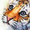 Sweet Baby Face Tiger Diamond Painting