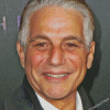 Tony Danza Actor Diamond Painting