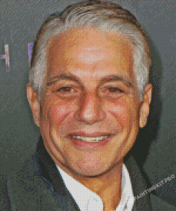 Tony Danza Actor Diamond Painting