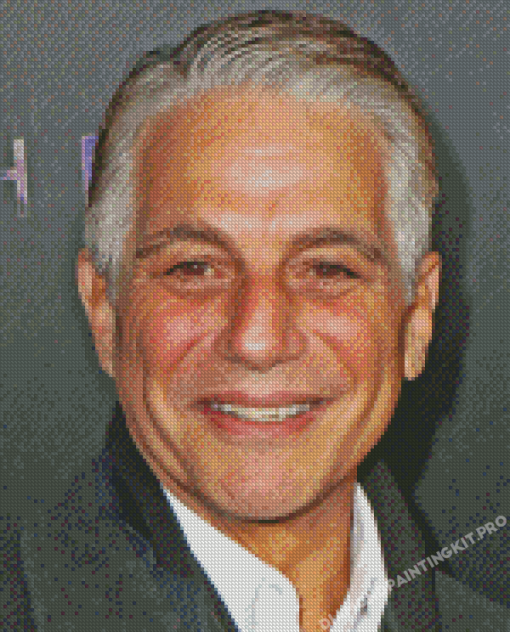 Tony Danza Actor Diamond Painting