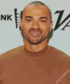 American Celebrity Jesse Williams Diamond Painting