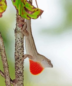 Anole Lizard On Branch Diamond Painting