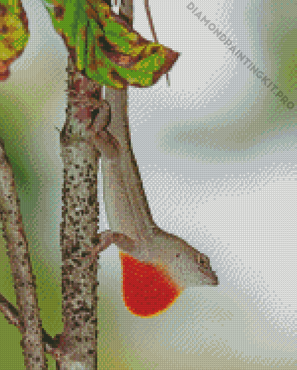 Anole Lizard On Branch Diamond Painting