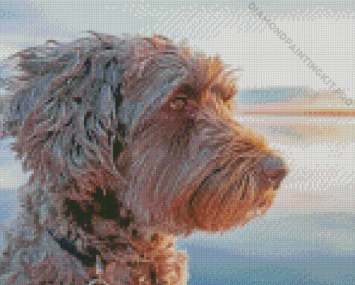 Beige Portuguese Water Dog Diamond Painting