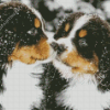 Bernese Mountain Dogs In Snow Diamond Painting