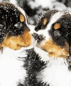 Bernese Mountain Dogs In Snow Diamond Painting
