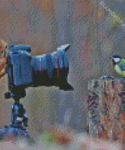 Bird and Camera Diamond Painting