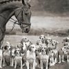 Black And White Horse and Hounds Diamond Painting