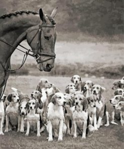 Black And White Horse and Hounds Diamond Painting