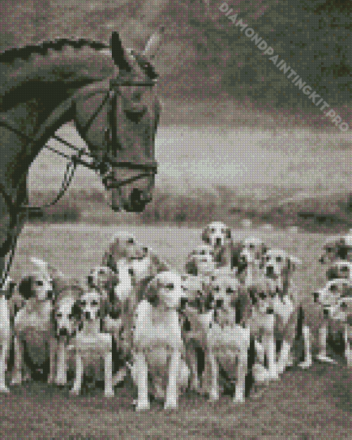 Black And White Horse and Hounds Diamond Painting