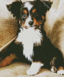 Mini Aussie Dog Diamond Painting