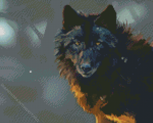 Black Wolf Diamond Painting