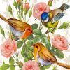 Blue Tit With Robin And Roses Diamond Painting