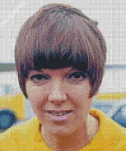 British Fashion Designer Mary Quant Diamond Painting