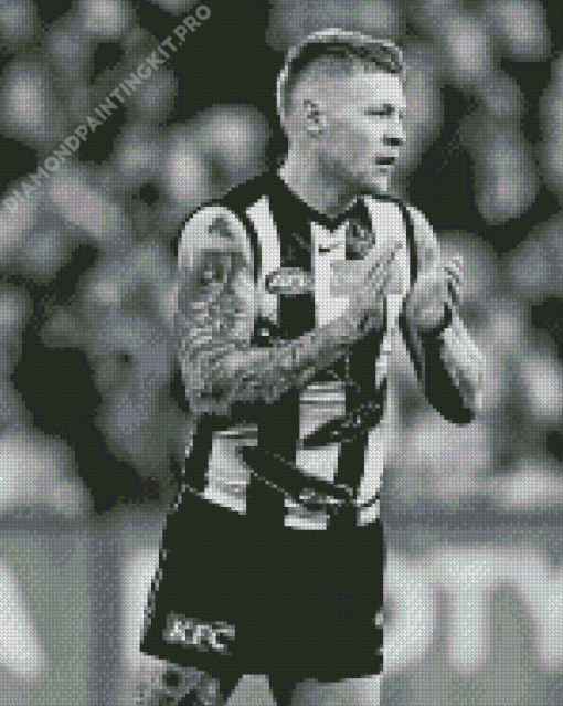 Collingwood Football Club Player Diamond Painting