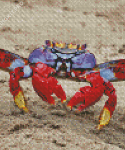 Colorful Crab Diamond Painting