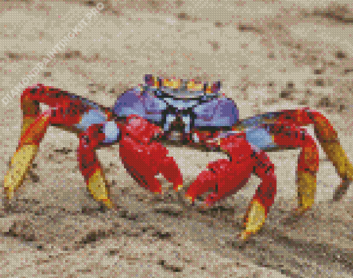 Colorful Crab Diamond Painting