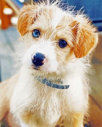 Corgi Poodle Dog Diamond Painting