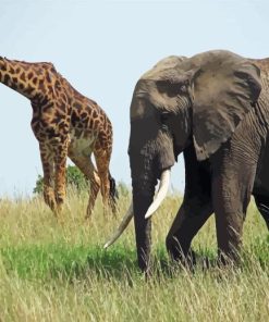 Elephant and Giraffes Diamond Painting