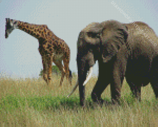 Elephant and Giraffes Diamond Painting