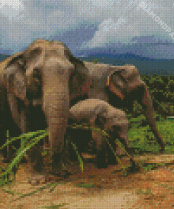Elephants In Thailand Jungle Diamond Painting