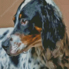 English Setter Dog Head Diamond Painting