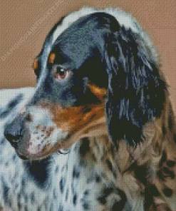 English Setter Dog Head Diamond Painting
