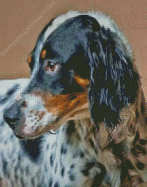 English Setter Dog Head Diamond Painting