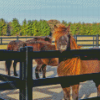 Horses In Fence Diamond Painting