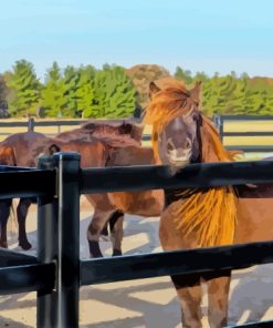 Horses In Fence Diamond Painting