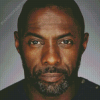 Idris Elba British Actor Diamond Painting