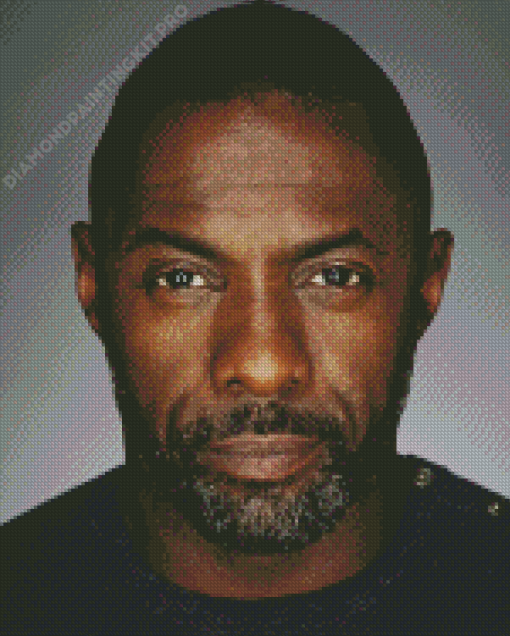 Idris Elba British Actor Diamond Painting