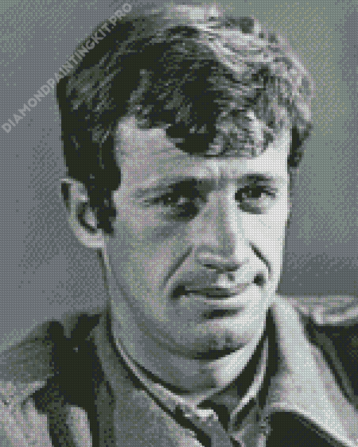 Jean Paul Belmondo Diamond Painting