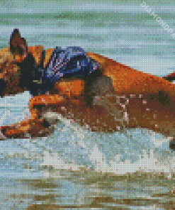 Mountain Cur Running In Water Diamond Painting