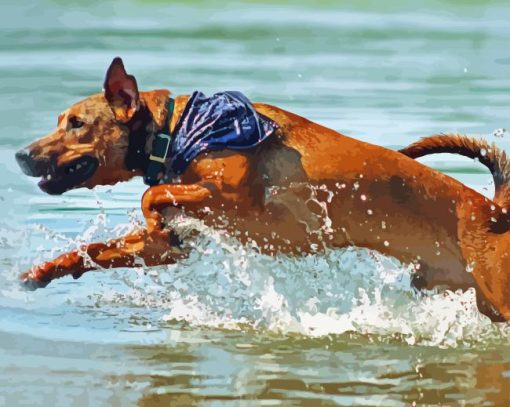 Mountain Cur Running In Water Diamond Painting