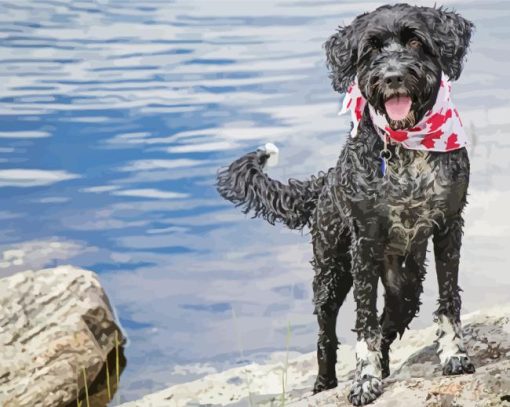 Portuguese Water Dog With Scarf Diamond Painting