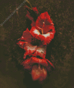 Red Gladiolus Flowers Diamond Painting