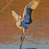 Sandhill Crane In Water Diamond Painting