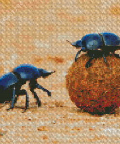 Scarabs Diamond Painting