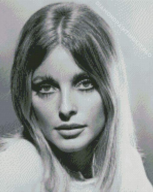 Sharon Tate Diamond Painting