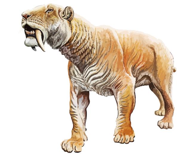 The Saber Toothed Cat Diamond Painting