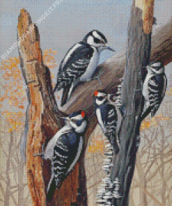 The Downy Woodpecker Birds Diamond Painting