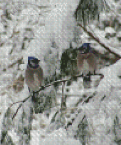 Two Blue Jay In Winter Diamond Painting