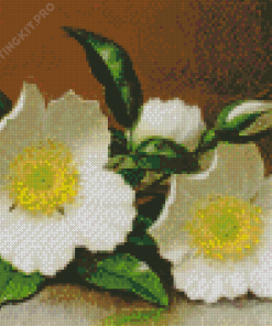 Two Cherokee Roses Diamond Painting