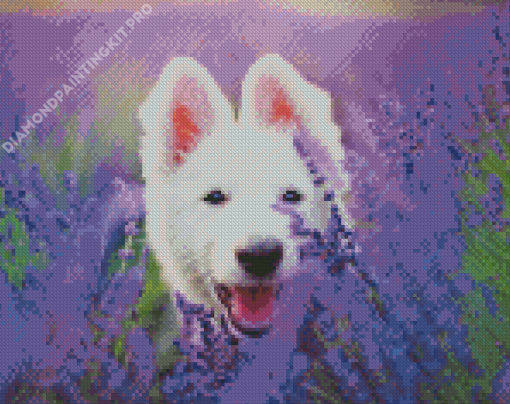 White Swiss Shepherd In Lavender Diamond Painting