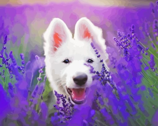 White Swiss Shepherd In Lavender Diamond Painting