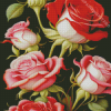 White and Red Roses Diamond Painting