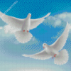 White Flying Pigeons Diamond Painting