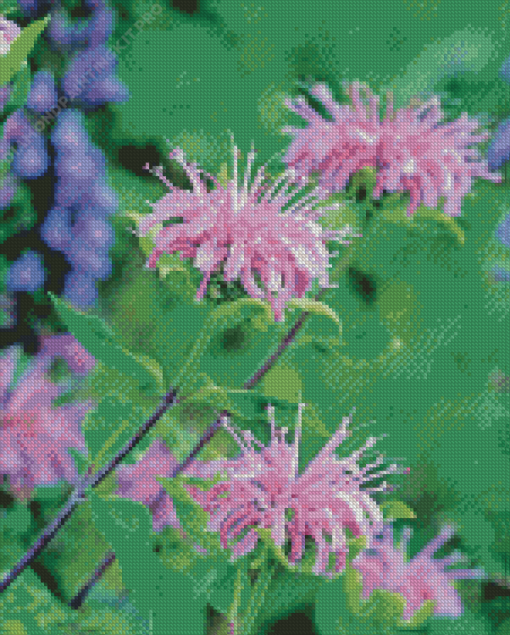 Wild Bergamot Flowers Diamond Painting