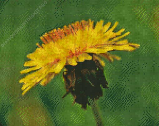 Yellow Paardenbloem Flower Diamond Painting